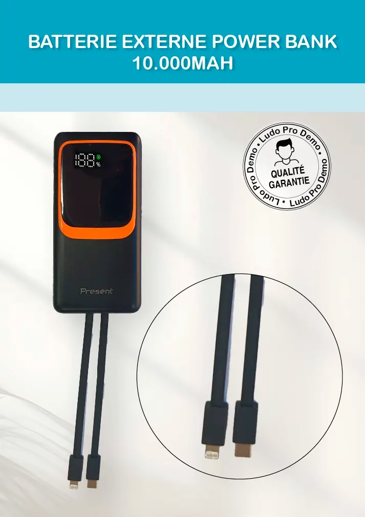 batterie-externe-Power-Bank-Noire-10000mAh